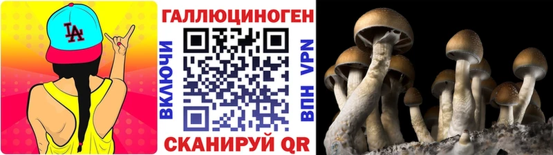 Псилоцибиновые грибы прущие грибы  Гороховец 