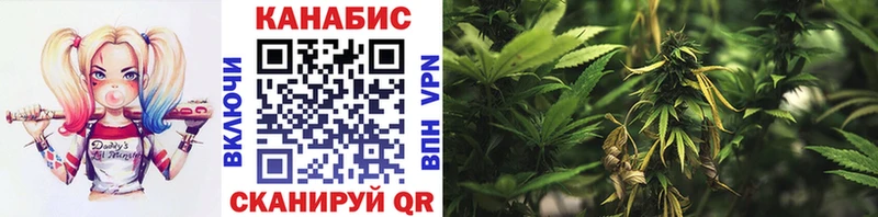 Бошки марихуана THC 21%  купить   MEGA   Гороховец 